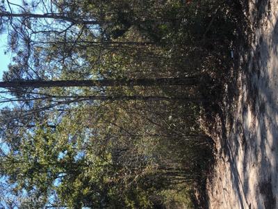 Willow Lot 358 Street