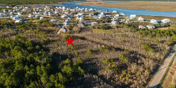 Image 3: Bayou View-54z