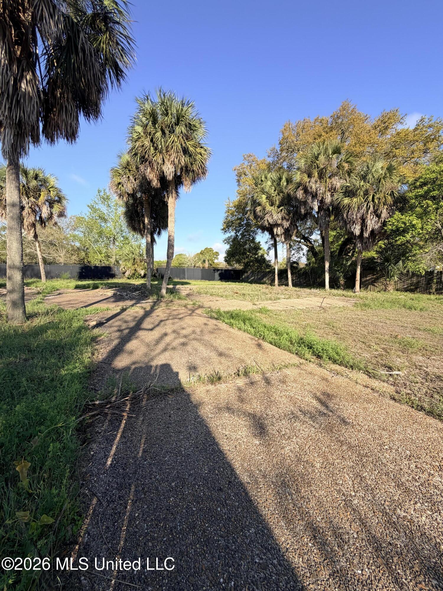 Image 3: IMG_0129