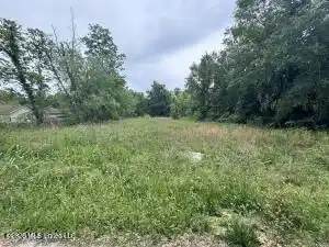 Image 1: Lot