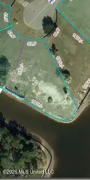 Image 1: Puunani 1