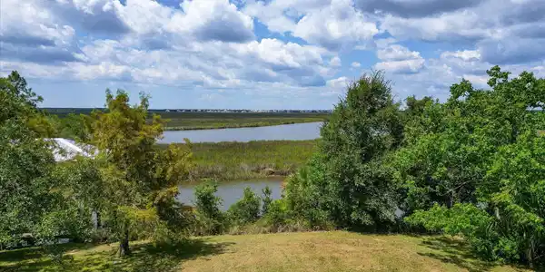 Image 2: Puunani0
