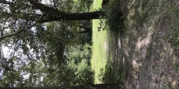 0 Magnolia Drive