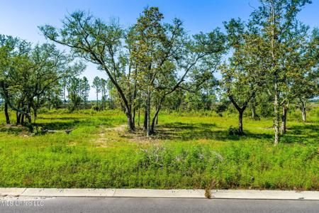 Shearwater Way Lot 12
