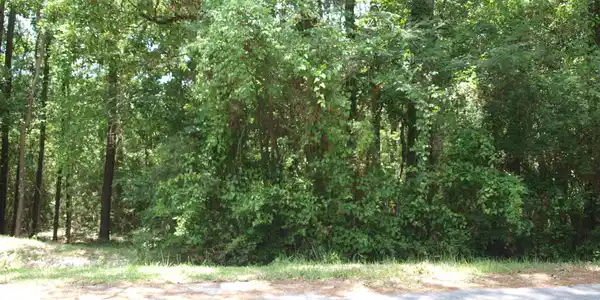 Lot 13 Honduras Drive