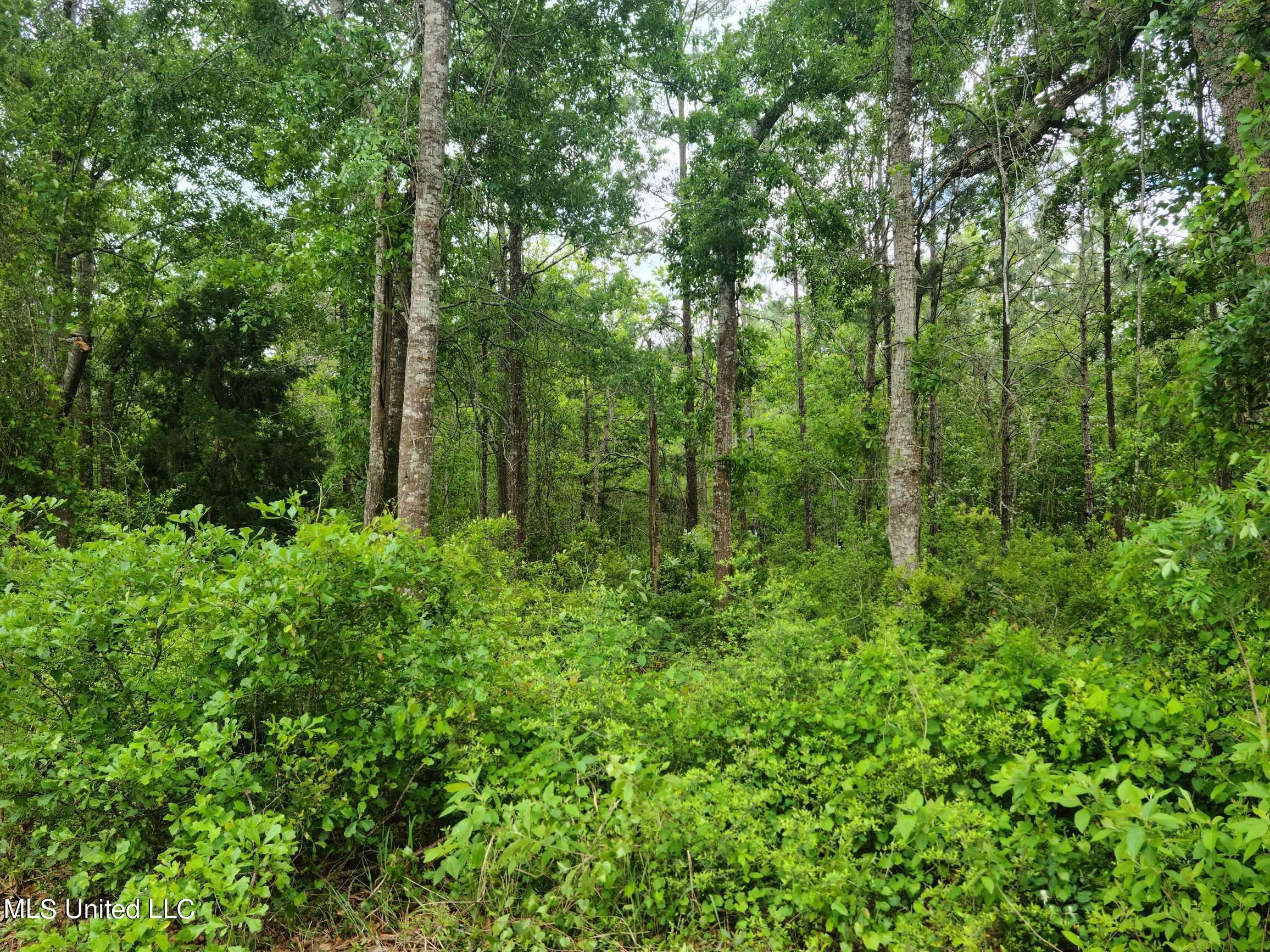 Image 3: Resized_20220418_140530