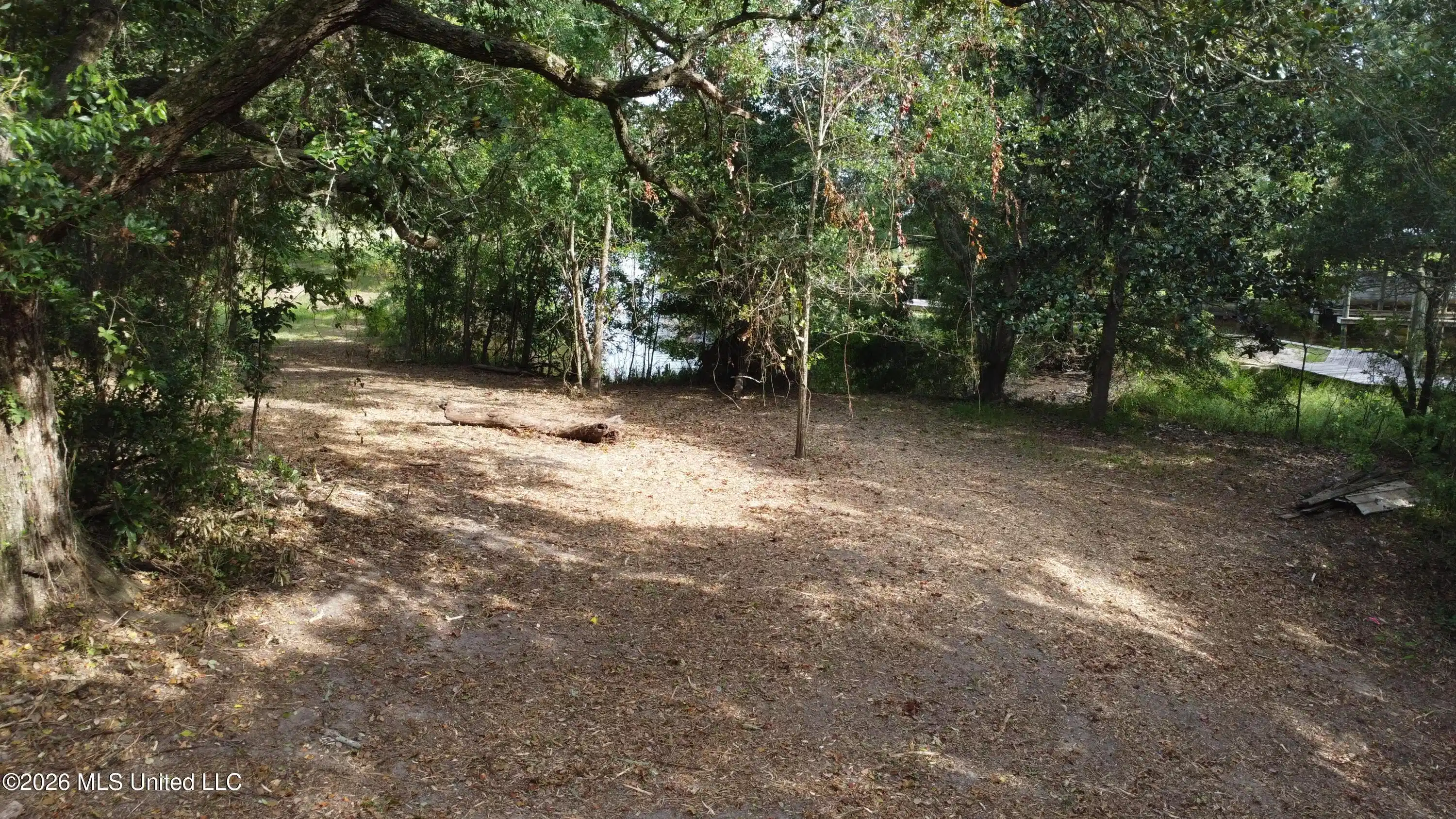 Image 1: 1