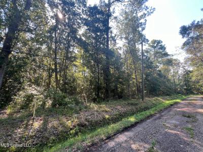 Sauer Drive