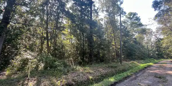 Sauer Drive