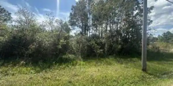 Image 3: 20250327193952071587000000
