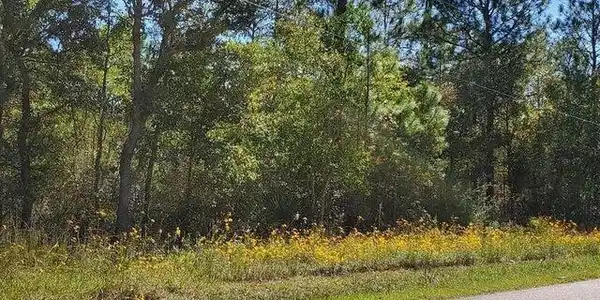 Image 3: 20210914122336828630000000-o