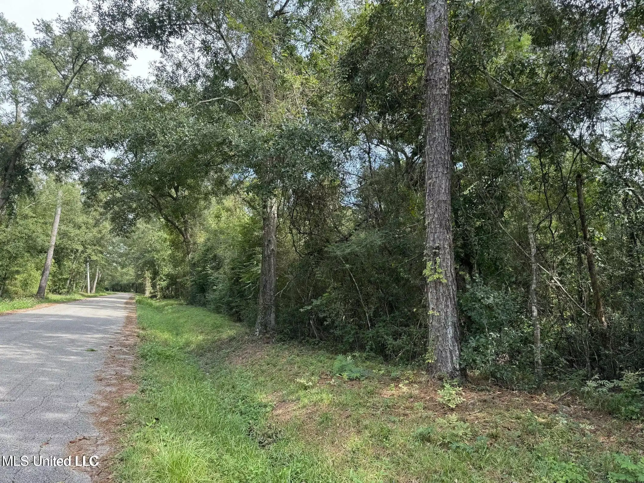 Image 1: Road Frontage