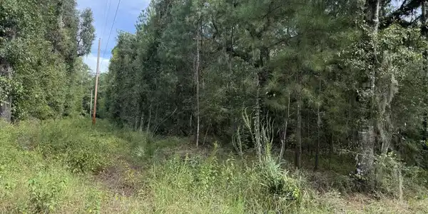 Image 3: 20240921001533608585000000-o