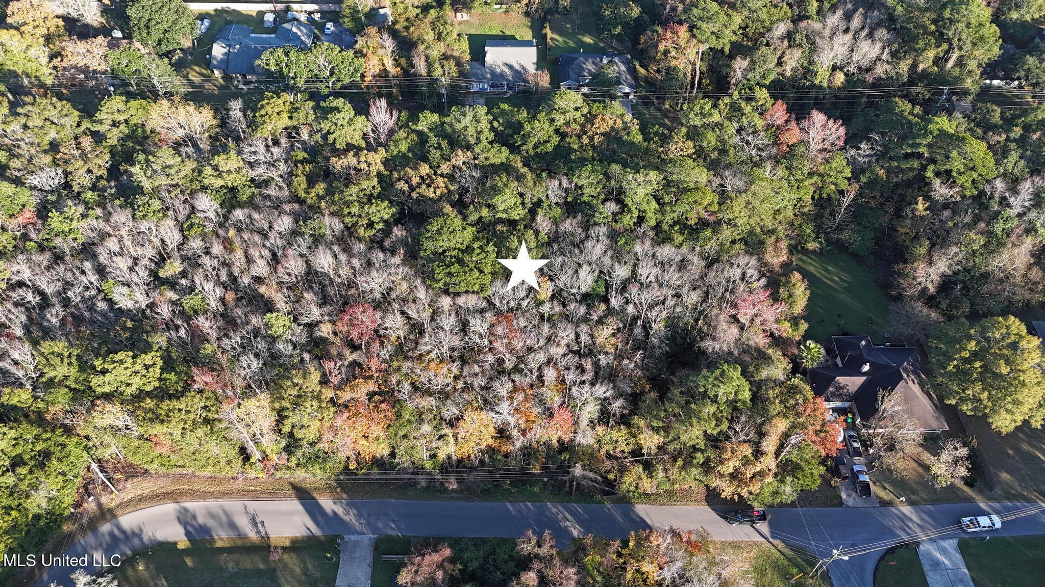 Image 1: 001