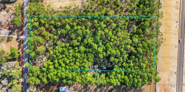 Image 3: 2_dji_20260123143324_0185_d
