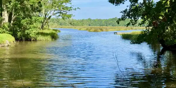 Image 2: Waterview