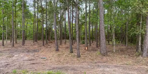 Lot 44 Basswood Drive