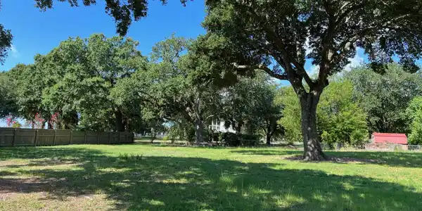 101 Pine Avenue