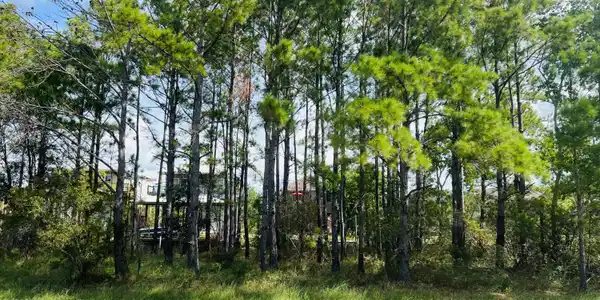 Lot 29 18th Street