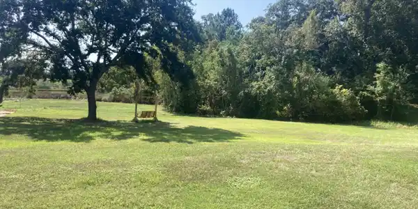1405 Park Drive