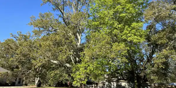 127 Elva Drive