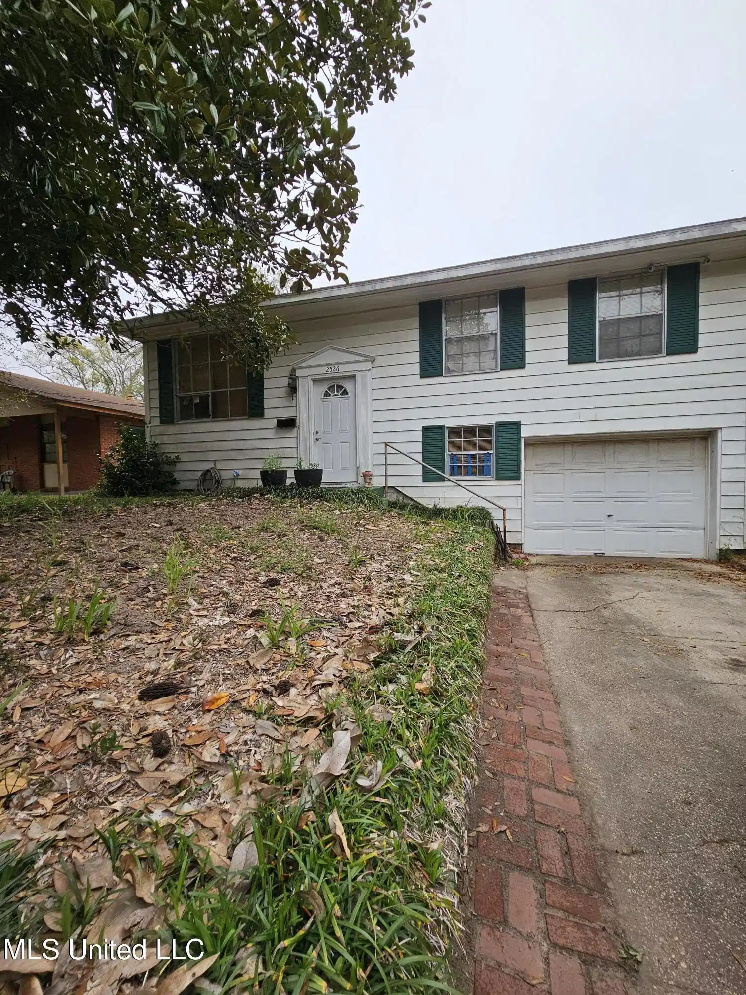 Image 1