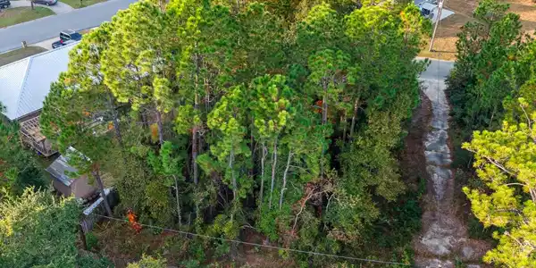 Image 2: DJI_20251119160734_0144_D