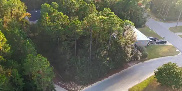 Image 3: DJI_20251119160645_0138_D-2