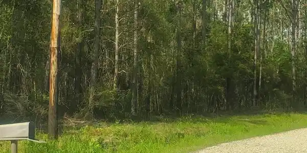Bolivar Street E