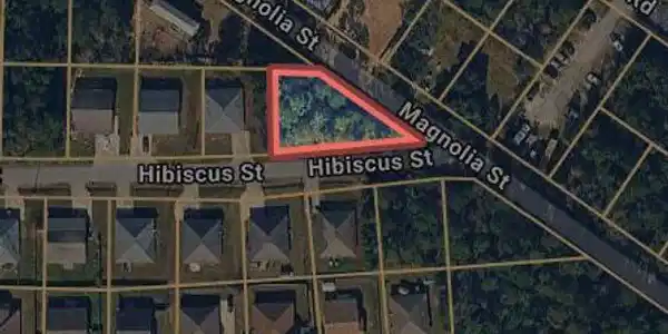 00 Hibiscus Street
