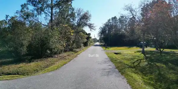 Image 2: 20241221201934759667000000-o