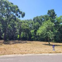 137 Destiny Oaks Drive