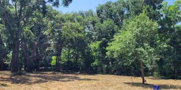137 Destiny Oaks Drive