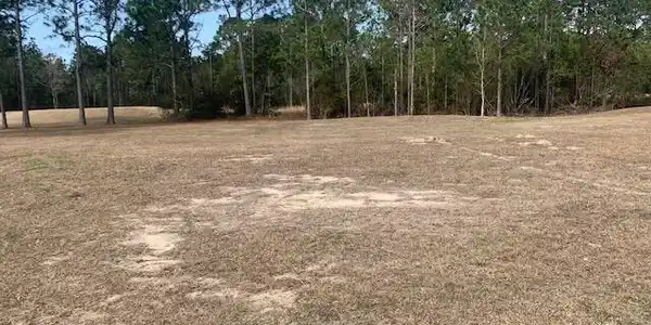 Shell Landing Boulevard