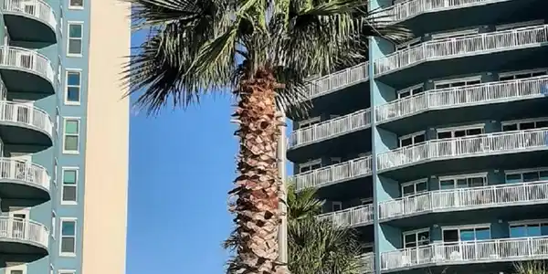 2228 Beach Drive