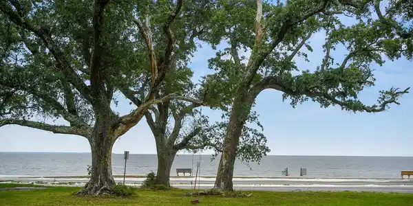 1303 Beach Boulevard E