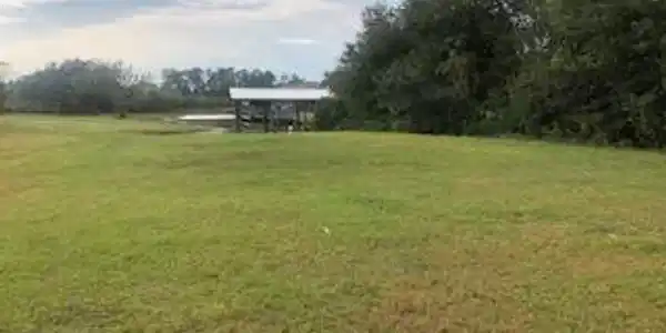 N Tampa Drive