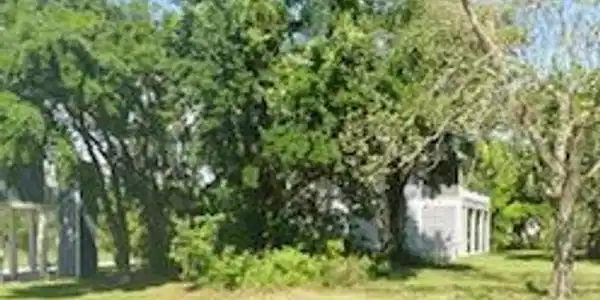 Cedar Avenue