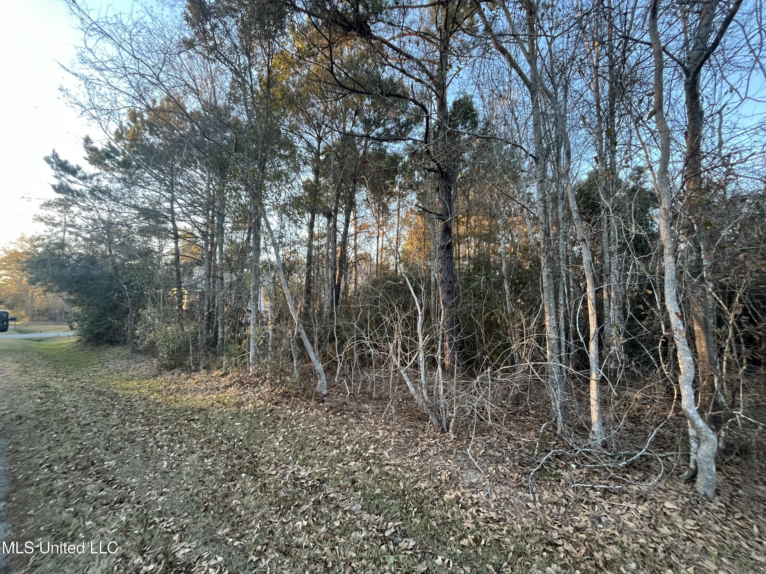 Image 3: IMG_2891