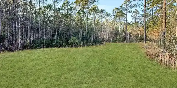 000 Juniper/kingswood