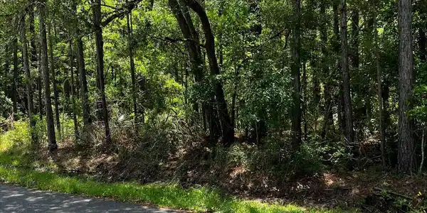 Dogwood Lane