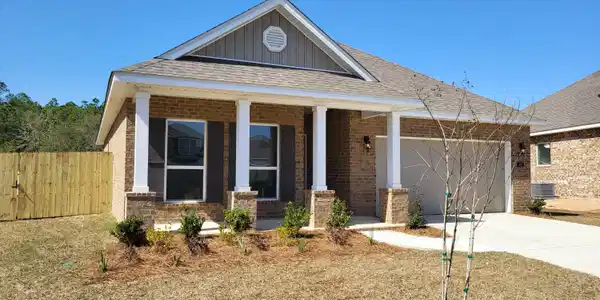 401 Sturnidae Cove