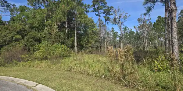 Pinehaven Drive
