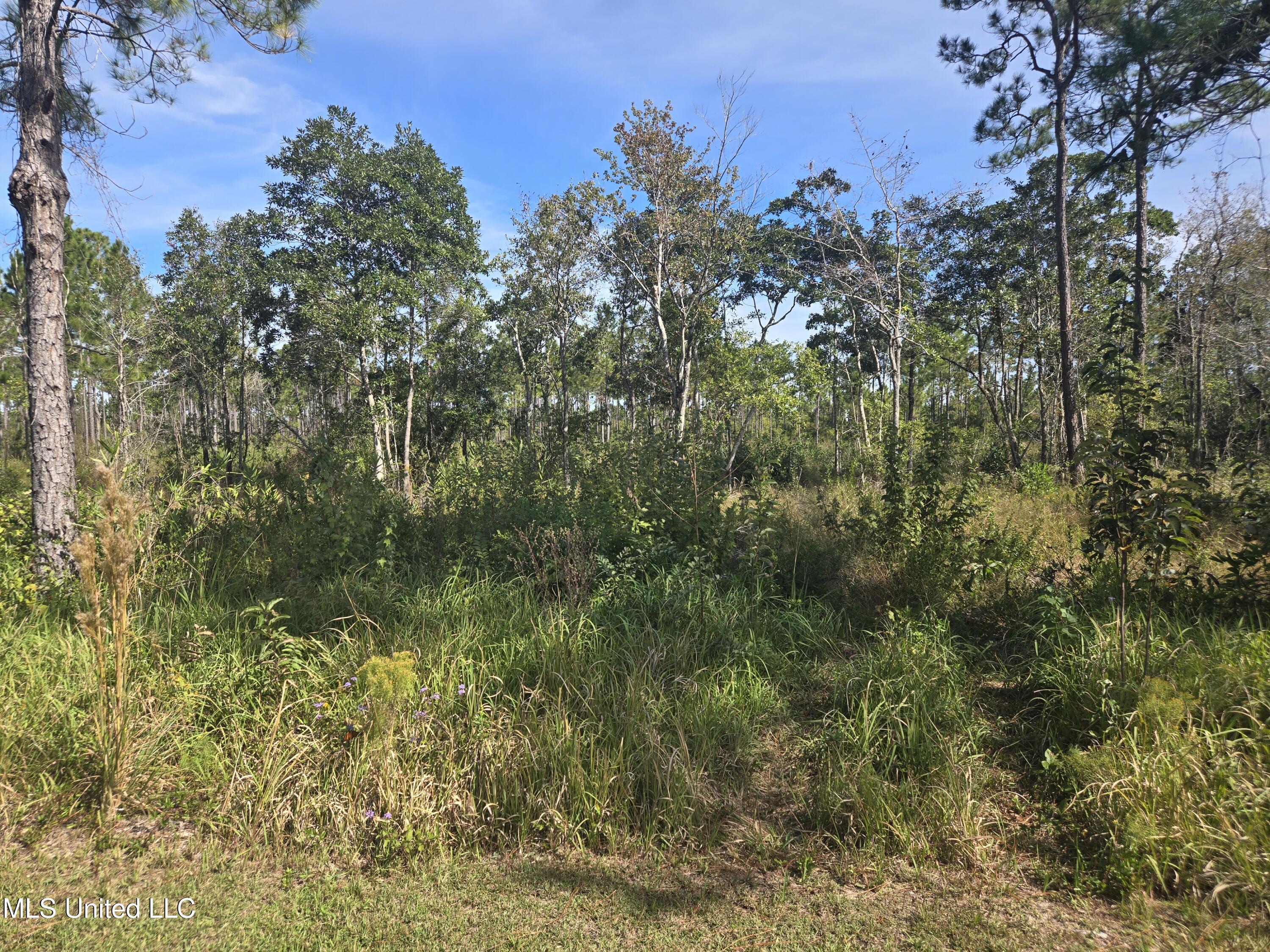Image 3: 20251023_113556