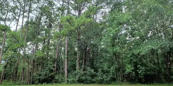 Lot 18 Honduras Drive