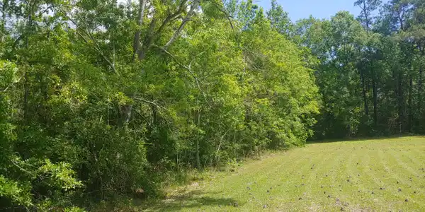 Old Hill Road