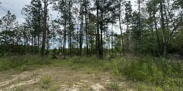 Lots 35/36 Tampa Circle