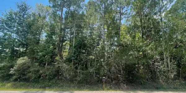 Lot 16 Poinsetta Loop