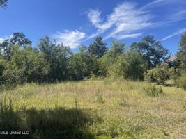 135 Old Pecan Grove Lane