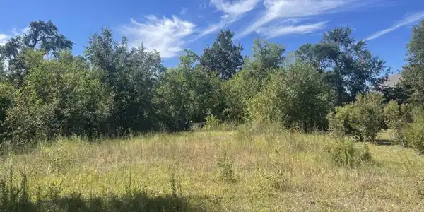 135 Old Pecan Grove Lane